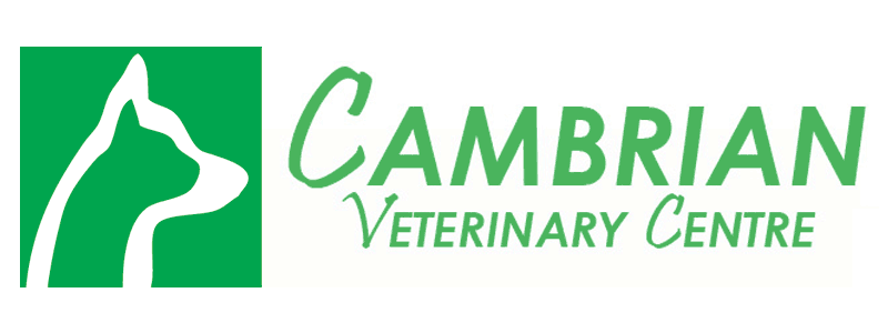 cambrian vets 002
